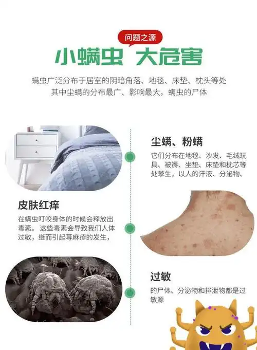 教你床上放点"它",螨虫消失了