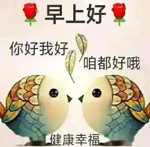 早上问好图片大全 搞笑图片