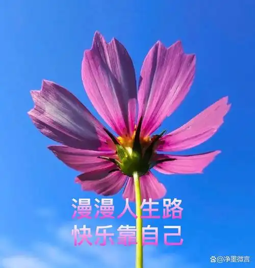 人生就是这样,你笑它就笑,你哭它就哭,快乐时光总是留给积极向上的人.