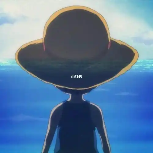 用了多久海贼王的头像