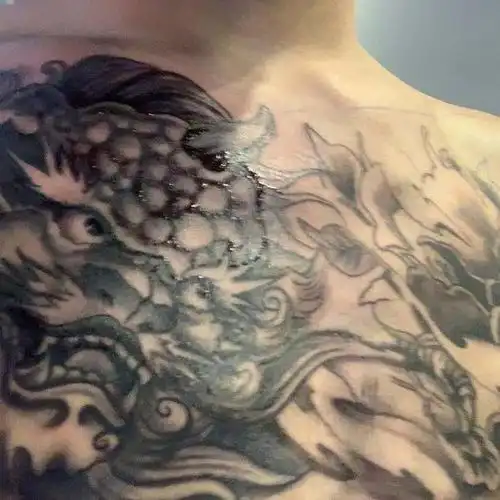 花胸唐狮之前做过一次 毁的很过_纹身吧社区 - 纹身大咖