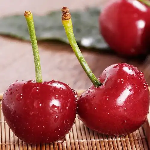 (预售)辽宁大连樱桃美早大樱桃特产新鲜大果现摘现发5斤装 1500g jj 2