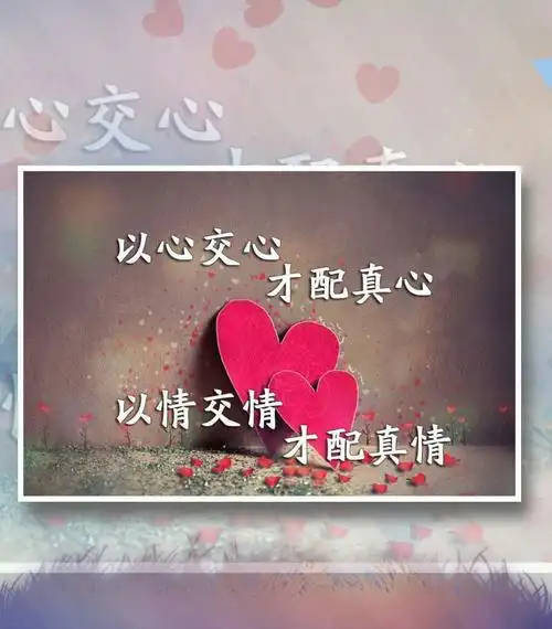每日分享|以心交心,才配真心7815