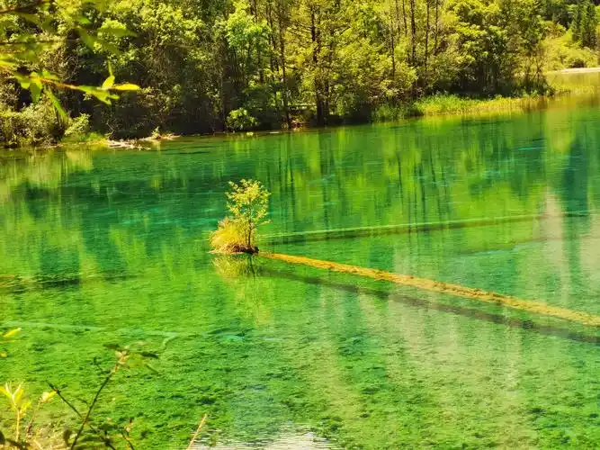 著名5a景区九寨沟