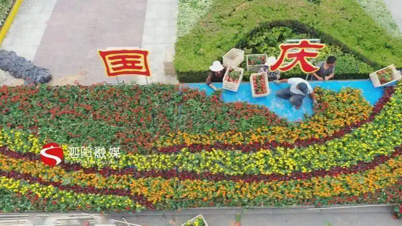 政府门口看到,园林绿化事业发展中心的工作人员正忙着布置国庆草花