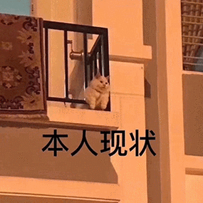 【表情包】 今日份沙雕表情包