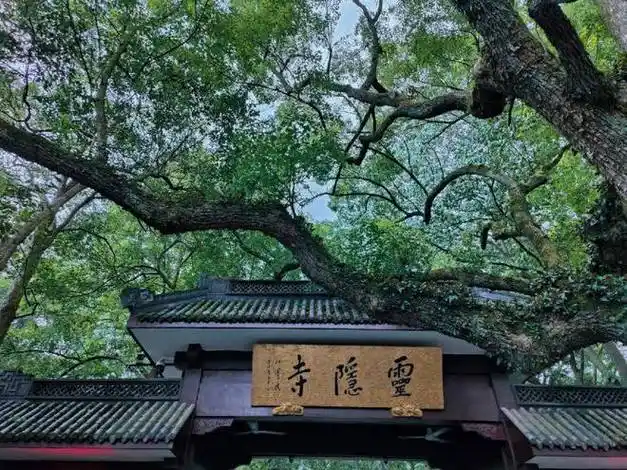 灵隐寺是中国佛教古寺,又名云林寺,位于浙江省杭州市