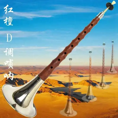 也叫黑管 代表学校:中央音乐学院 吹管乐器中唯一的和声乐器 代表学校