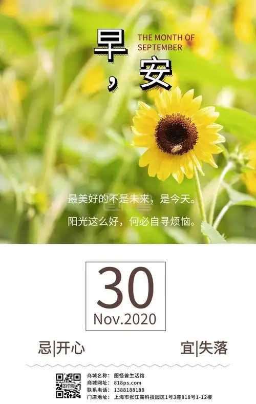 早安你好路阳光远方黄色叶子温暖励志日签