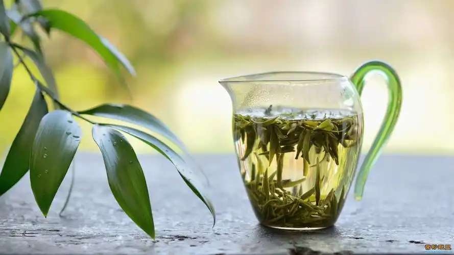 北京斜杠青年私董会:茶是身体的保护伞_茶叶