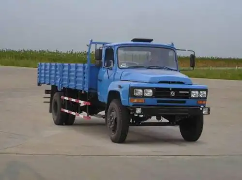 那时的东风质量那是没得说,十多吨飞一样的拉着跑,老司机都知道的国产