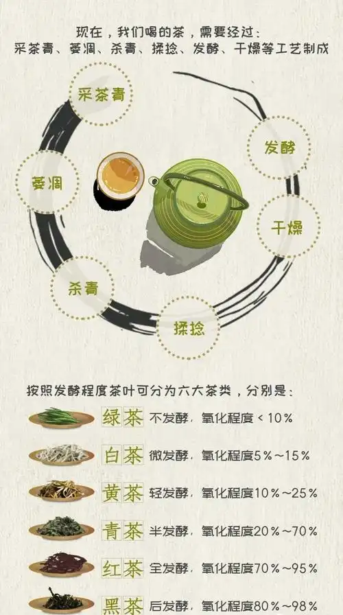 图片化认识茶,轻松又直接