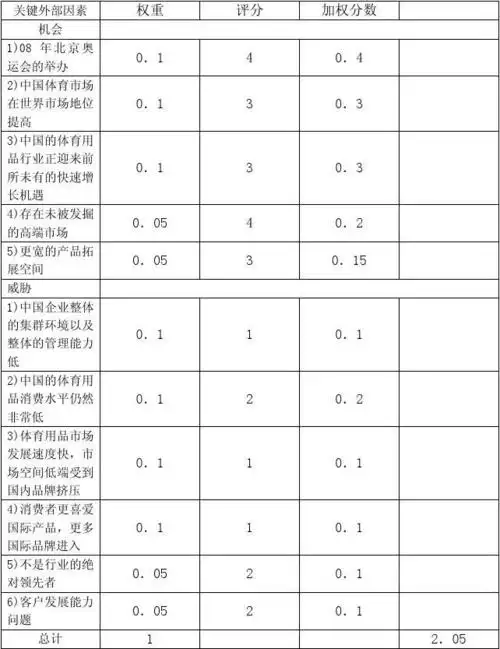 3外部因素评价 (efe)矩阵