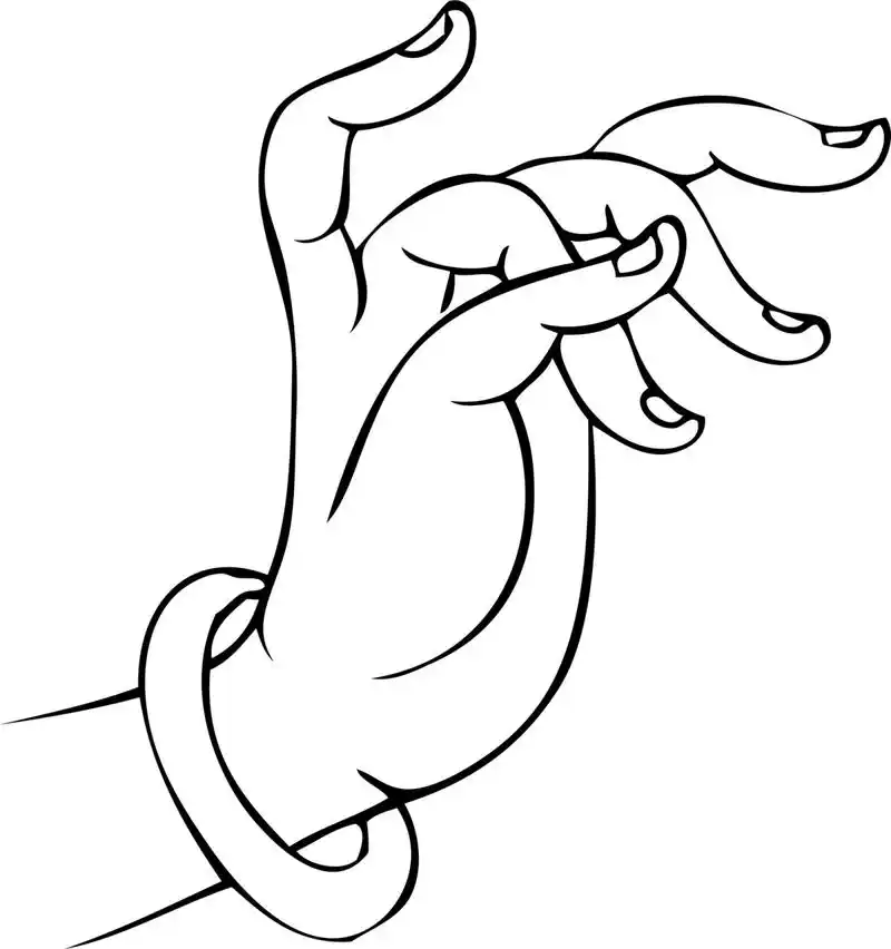 佛手线描·白描国画专业参考素材资料稿·壹 底稿/线描/白描/传统绘画