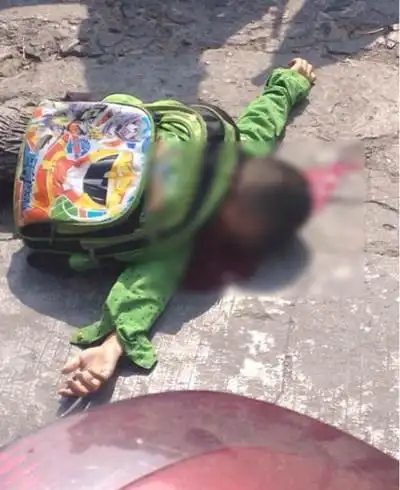 瑞安一男童上学途中遭校车碾轧当场死亡图