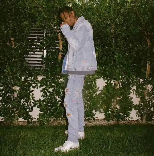 travis scott – nike air force 1 low "cactus jack"nelly – air