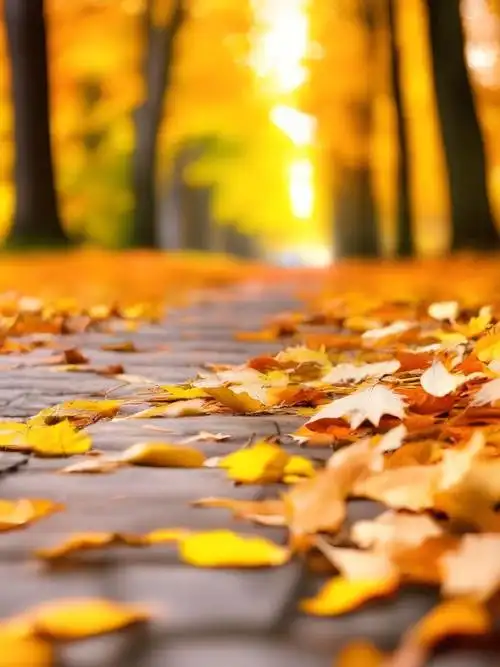 秋天##适合秋天的文案##朋友圈文案##文案##背景图