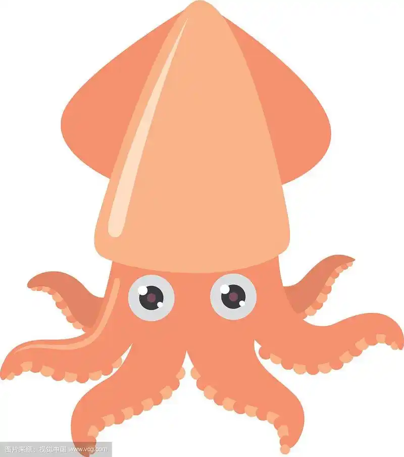 卡通鱿鱼在白色的背景