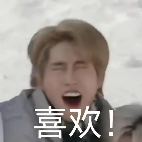 straykids自截表情包60