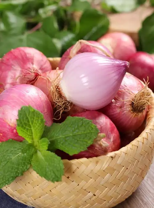 东北毛葱紫皮小葱头圆洋葱新鲜红鬼子干葱头笨毛葱栽种子蔬菜毛葱3斤