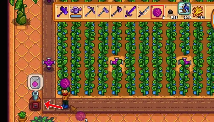 星露谷物语红叶卷心菜怎么弄?(红叶卷心菜获得方式)_花游网