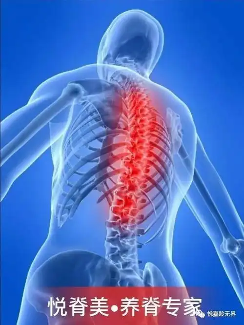 胸椎有病五脏六腑谁也别想跑
