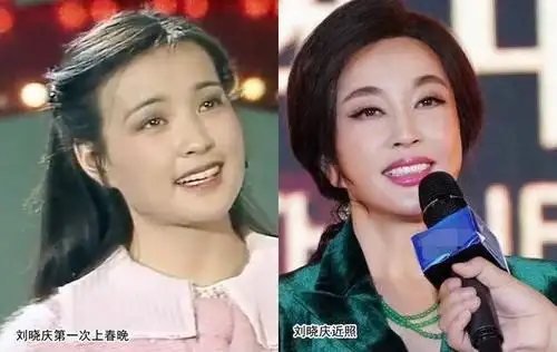 19位春晚明星今昔对比照有的仍是男神女神有的变化太大认不出