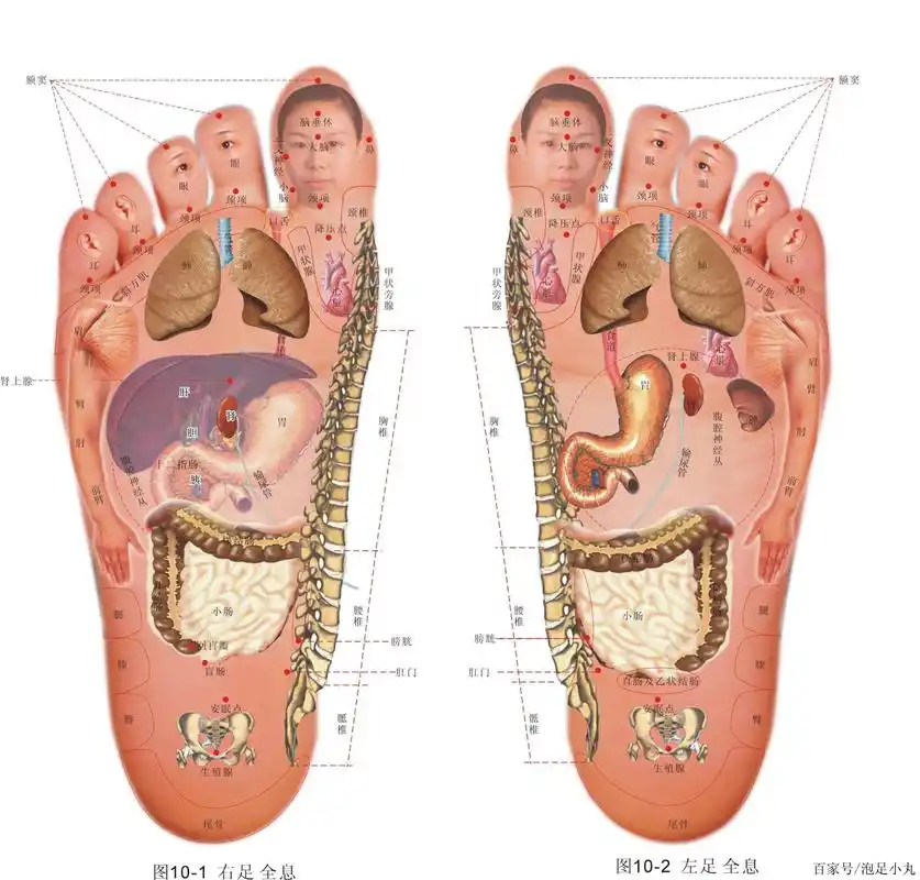 龙源:脚是人体的"第二心脏",健康长寿的人有什么秘诀?