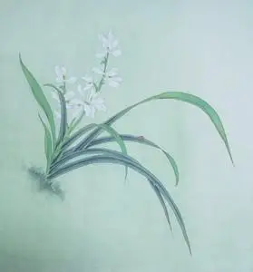 国画工笔画纯手绘精品小品兰草成品用于家居装饰馈赠无款无章包邮