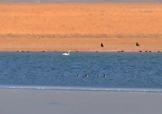 12~13冬日群英会之~~渥洼池