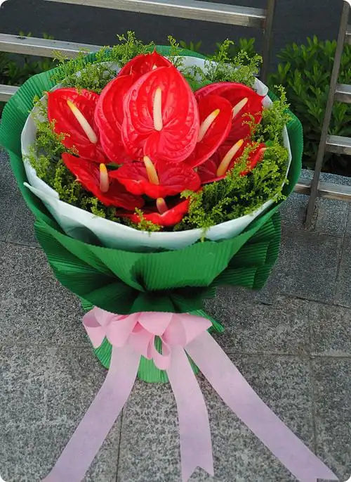 鲜花细节9片红掌花束,红玫瑰鲜花速递