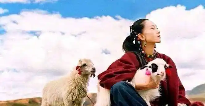 原创原创3500万豪宅被查封不愿生娃遭抛弃61岁杨丽萍被小彩旗反咬只能