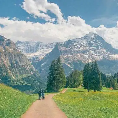 最佳风水头像 2020风水上最好旺财头像 - 微信头像 - 潮人个性网