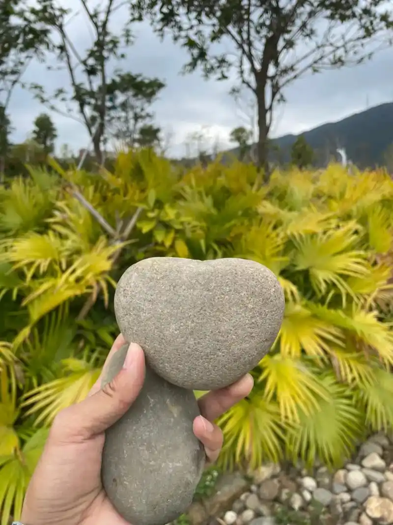 手绘石头画 去年在河溪边找到独一无二的心型石头,今天把它画 - 兑趑