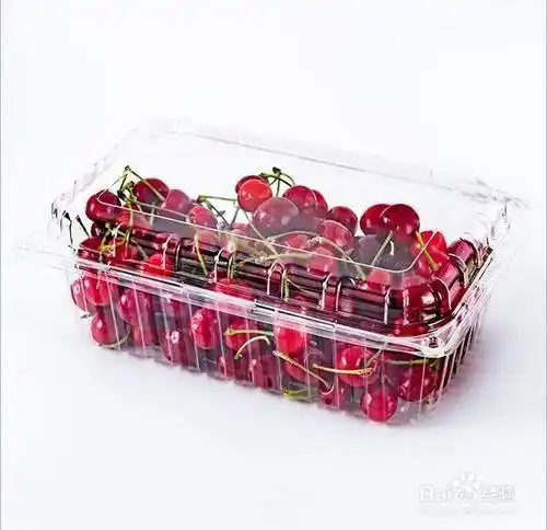 洗过的樱桃沥干水分,保鲜盒铺上一层纸巾,放入樱桃,上面放一层纸巾