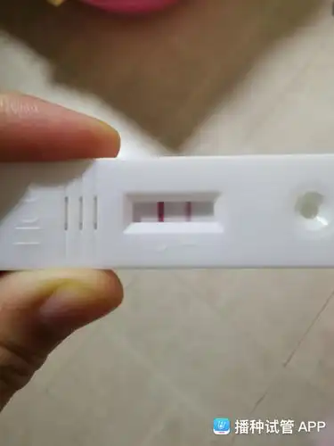 [试管婴儿]移植冻胚十四天,今天开奖,凌晨