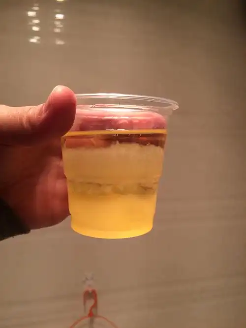 大神们帮忙鉴定一下是男宝宝还是女宝宝,酒精兑晨尿测的,三个小时了.