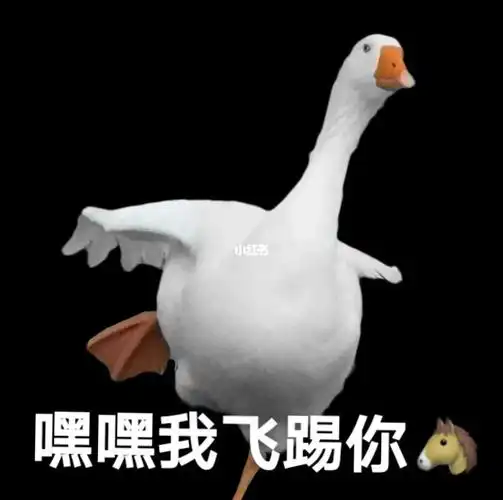 沙雕表情包 #鹅表情包