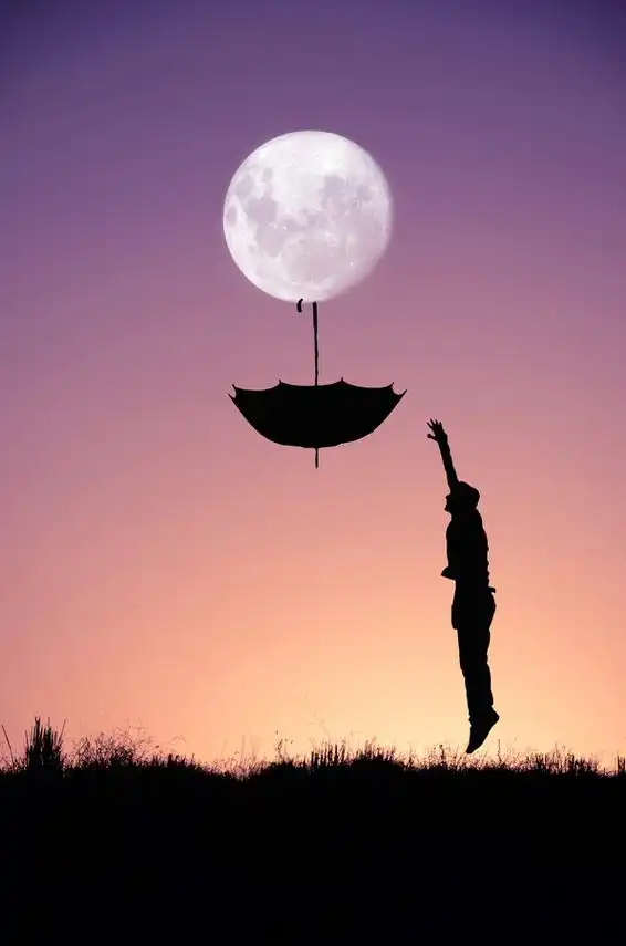 挑战你的想象力创意剪影摄影作品欣赏