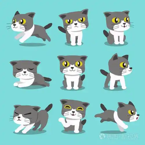 卡通猫的姿势字符集