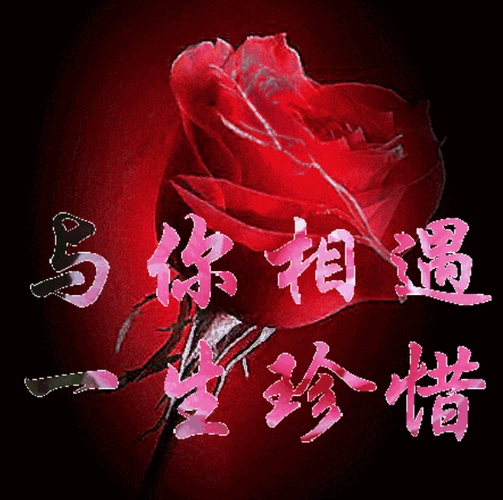 早上好缘分,让我遇上你感觉,我喜欢你时间,让我爱上你思念,让我记住你