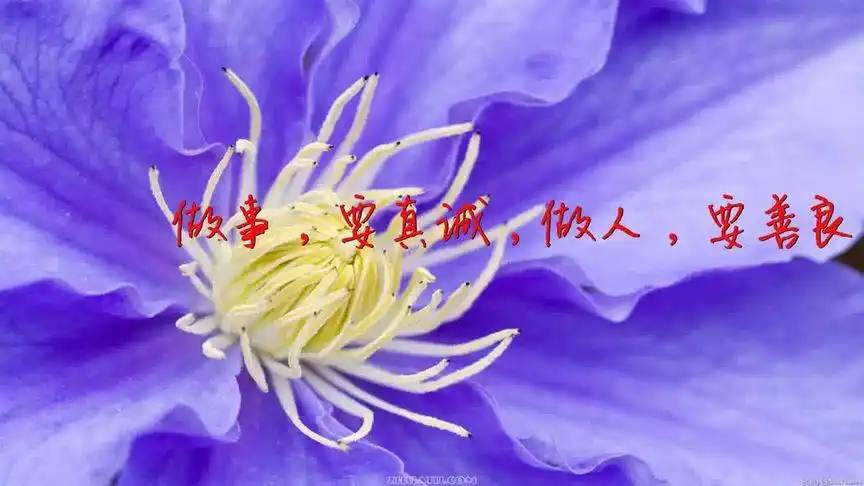 做事,要真诚,做人,要善良(讲得真好)