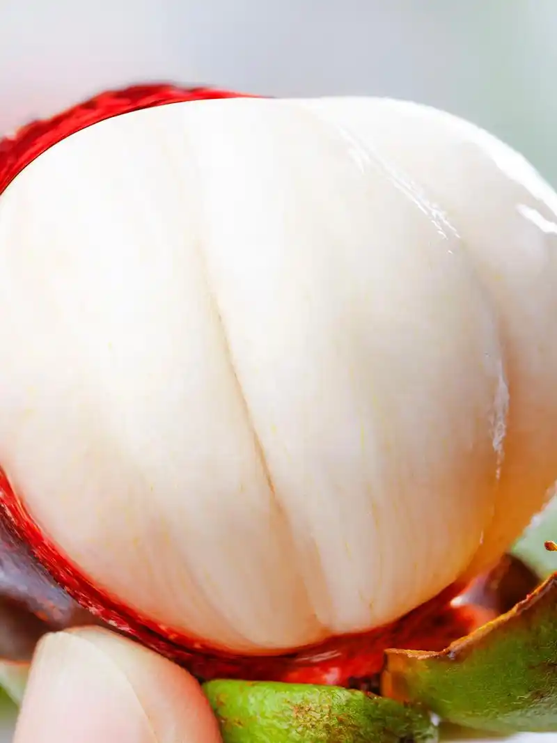 山竹新鲜山竹图片分享.山竹新鲜山竹泰国山竹图片更新#山竹 # - 抖音