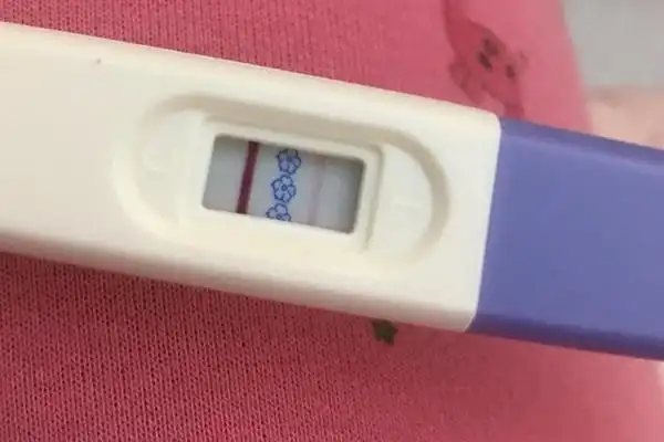 解读大卫梅花验孕棒一杠一花什么意思花花算不算杠来看