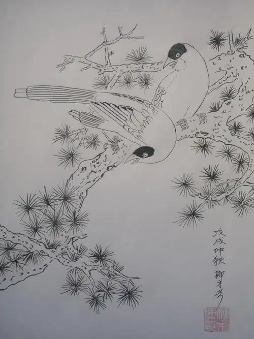 老柳学画花鸟(白描27张)2018.9.17