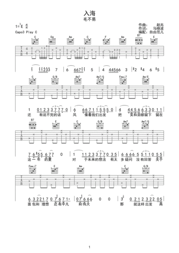 毛不易入海吉他谱