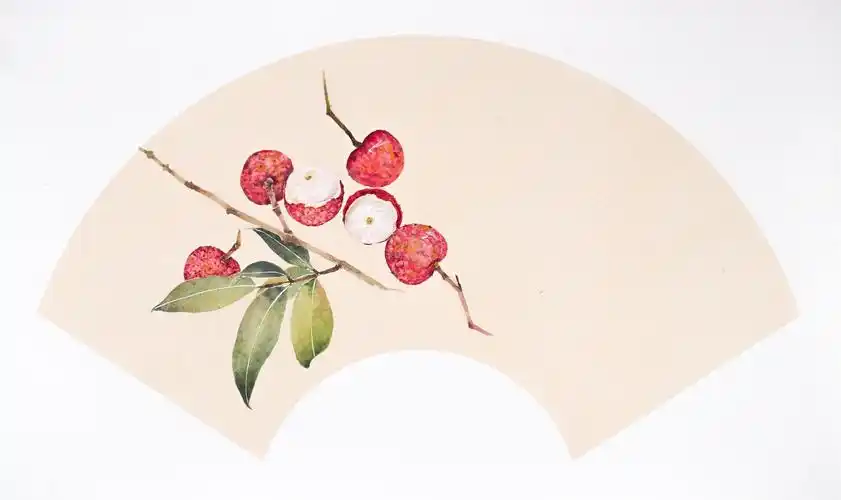 国画没骨法教程荔枝图