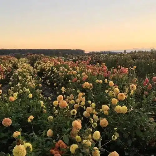 中ui设置背景图片_50张非常好看的微信朋友圈封面背景图片大全 都是你