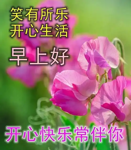清晨早上好表情图片带字和鲜花,非常漂亮早上好图片带字