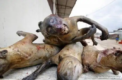 超重口味慎入带你看遍全世界的黑暗料理